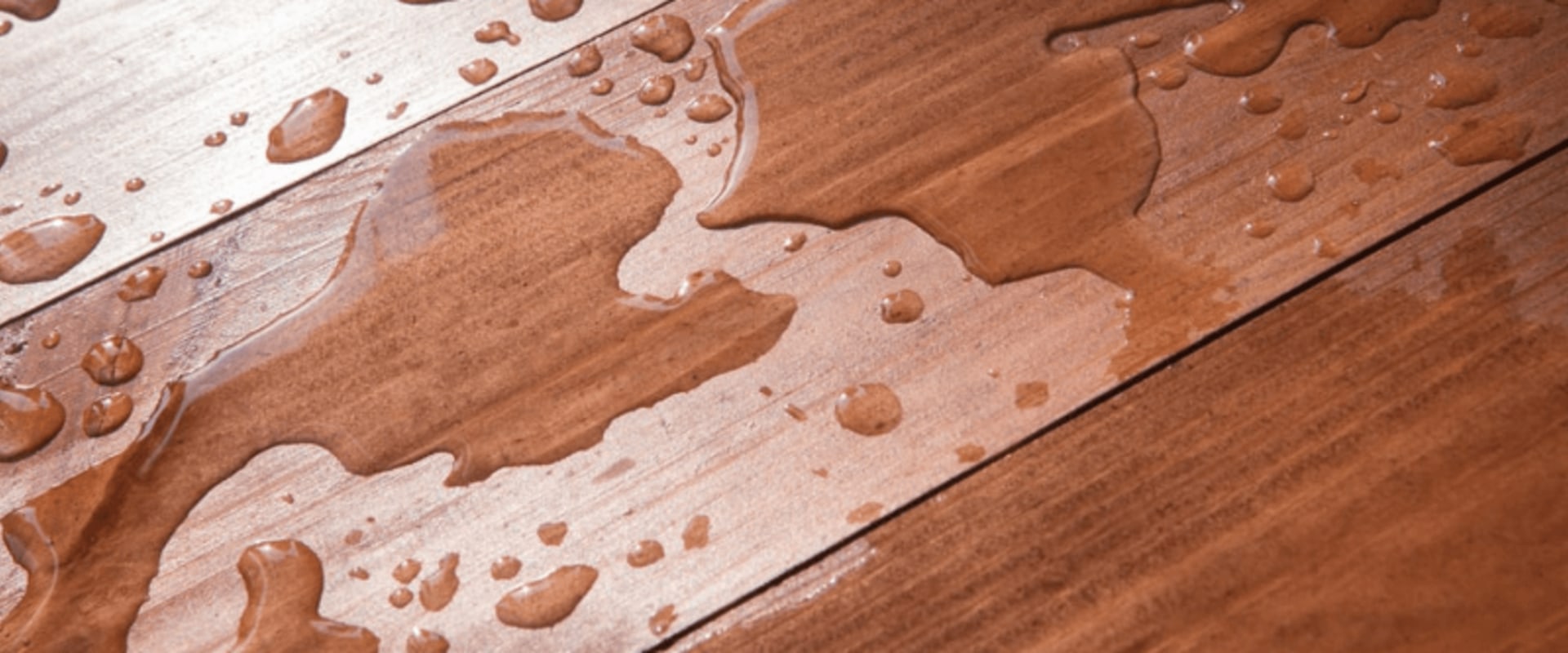 Essential Tips for Protecting Hardwood Floors from Water Damage
