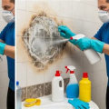 The Truth About Using Bleach on Residential Floors: What You Need to Know