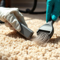 Effective Strategies for Removing Pet Hair from Carpets and Rugs