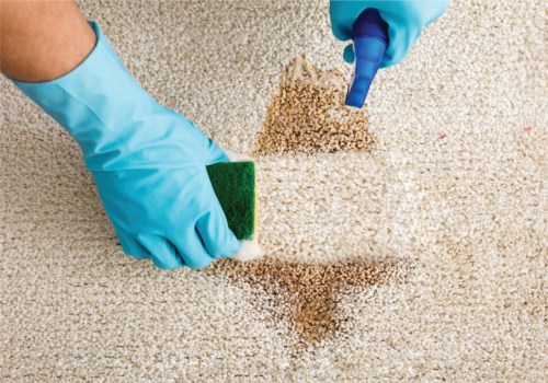 Effective Techniques for Removing Stains from Carpeted Floors